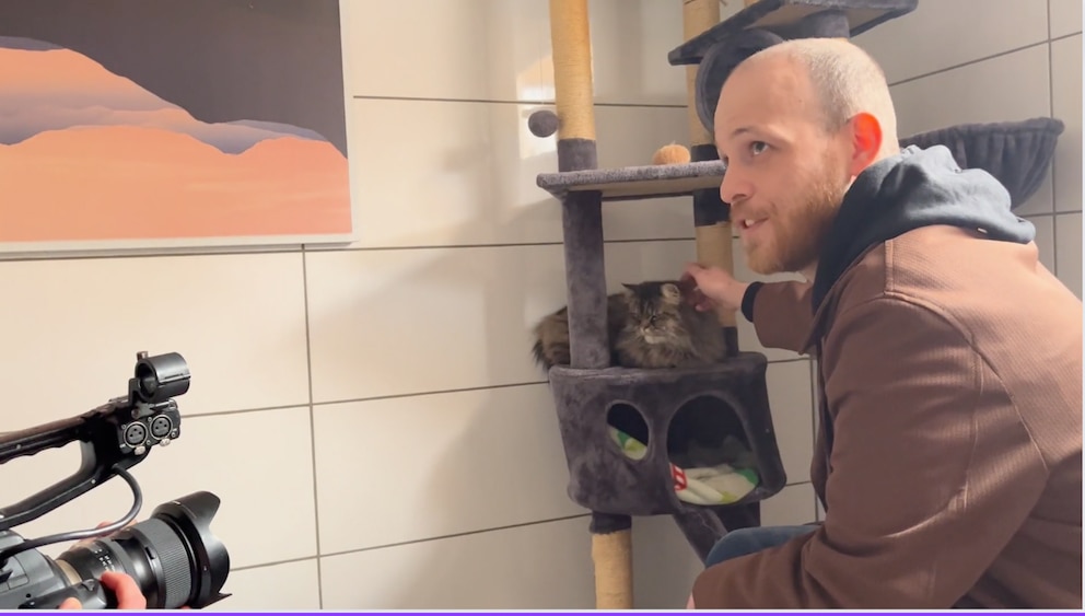 Patrick Müller im Katzenhaus des Tierheims Köln-Ostheim mit Kater Lucky, der aus einem Messie-Haushalt gerettet wurde und vorübergehend hier unterkommt.