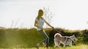 Frauchen und Hund trainieren für den Hundeführerschein