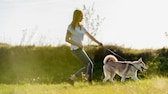 Frauchen und Hund trainieren für den Hundeführerschein