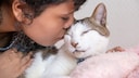 Ein Kind liebkost seine Katze am Kopf, die Katze hat die Augen geschlossen