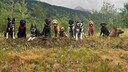 Ein Gruppenfoto der Hunde aus der Hundeschule „Mo Mountain Mutts“ in Alaska