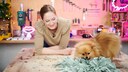 Redaktionshündin Yumi probiert den DIY-Schnüffelteppich von Susanne gleich mal aus