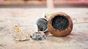 DIY Vogelfutter in verschiedenen Formen