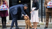 RIshi Sunak leint seinen Hund vor Downing Street No. 10 an