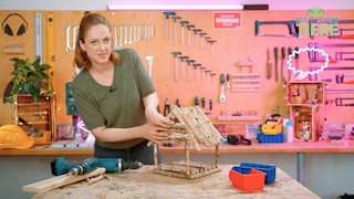 Screenshot aus dem Video der ersten Folge von DIY für Tiere "Futterhäuschen selbst bauen"