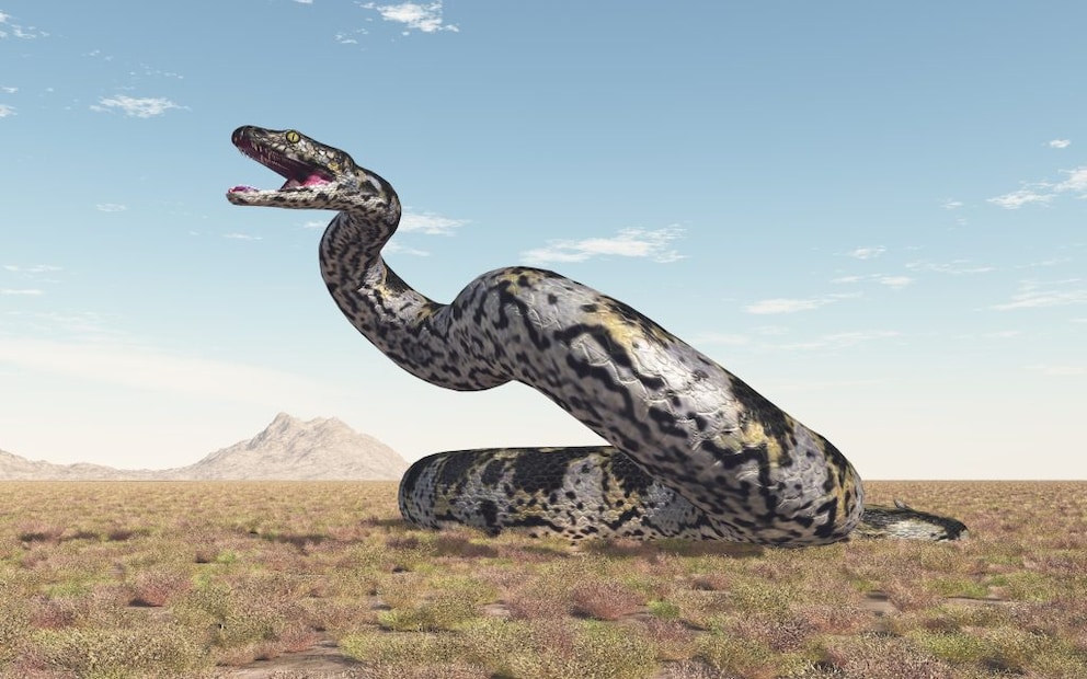 Eine 3D-Rekonstruktion der prähistorischen Titanoboa, der wohl größten Schlange, die es je gab