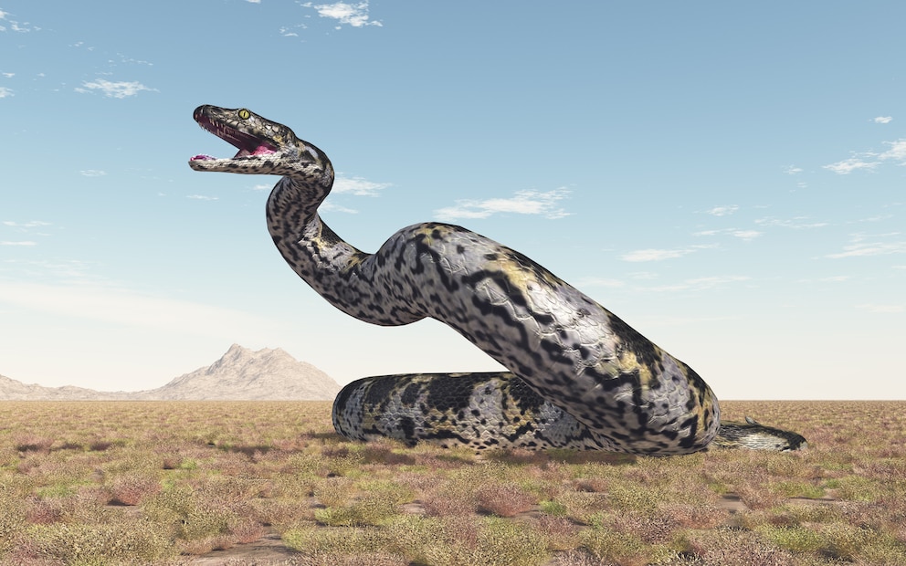 Eine 3D-Rekonstruktion der prähistorischen Titanoboa, der wohl größten Schlange, die es je gab