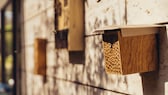 Insektenhotel mit anfliegenden Bienen, selber bauen