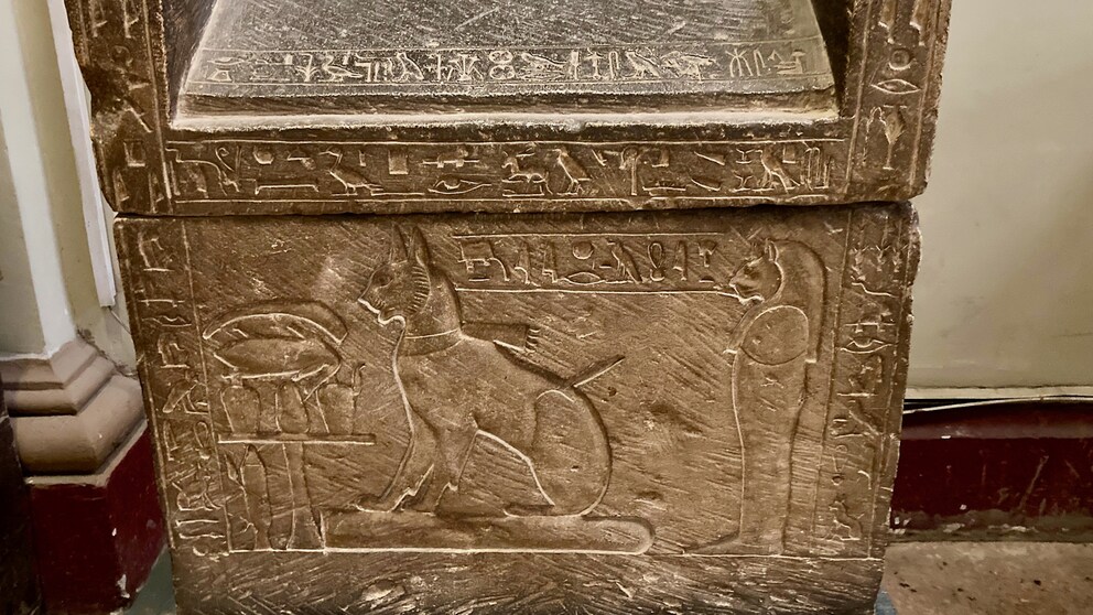 Ein Sakrophrag aus Ägypten zeigt das Relief einer Katze