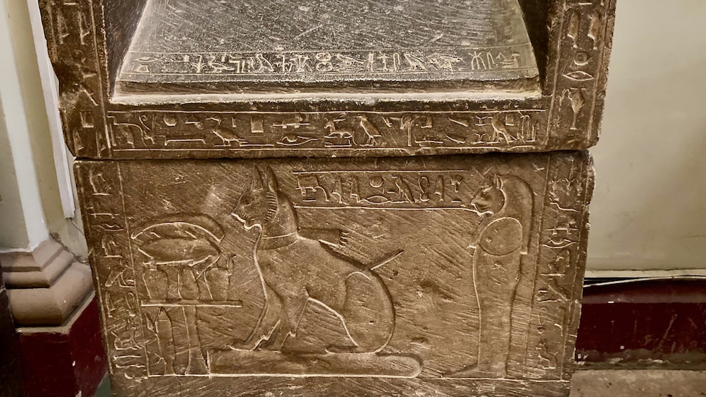 Ein Sakrophrag aus Ägypten zeigt das Relief einer Katze