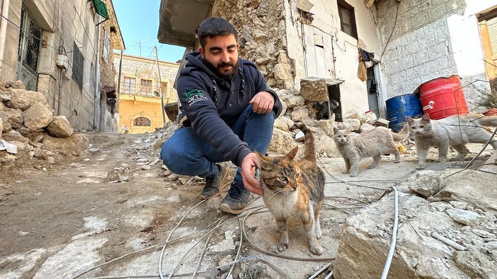 Retter der Organisation „House of Cats Ernesto“ mit Katze in den Trümmern des Erdbebengebietes in Syrien