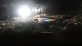 Ein Geisterwels wird angestrahlt und zeigt dadurch seine Regenbogenfarben