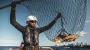 Matthias Egger von The Ocean Cleanup untersucht schwimmende Kunststoffe, die er in Zusammenarbeit mit dem FloatEco-Projekt während der Expedition von The Ocean Cleanup 2018 im Subtropischen Wirbel des Nordpazifiks gesammelt hat.