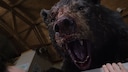 Im Film „Cocaine Bear” terrorisiert ein Bär im Drogenrausch eine ganze Nachbarschaft. Die Geschichte basiert auf einer wahren Begebenheit