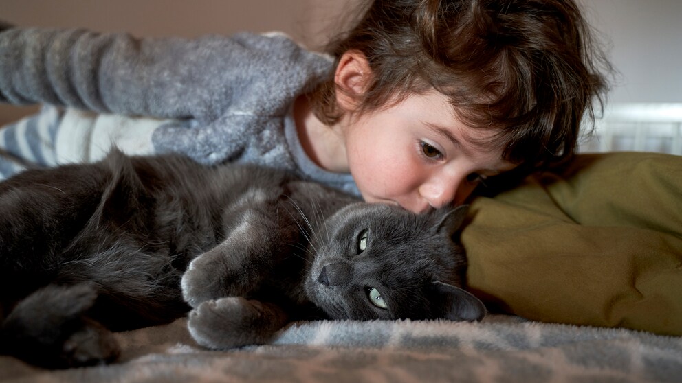 Ein Kleinkind küsst eine Katze am Ohr