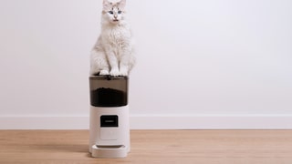 Futterautomaten für Katzen und Hunde können den Alltag erleichtern