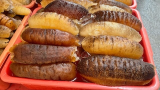 Seegurken gelten in Japan und China als Delikatessen. Aufgrund des illegalen Fangs von mehr als 600 Kilogramm der Meerestiere kam es zu Festnahmen (Symbolbild)