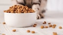 Stiftung Warentest hat Trockenfutter für Katzen getestet