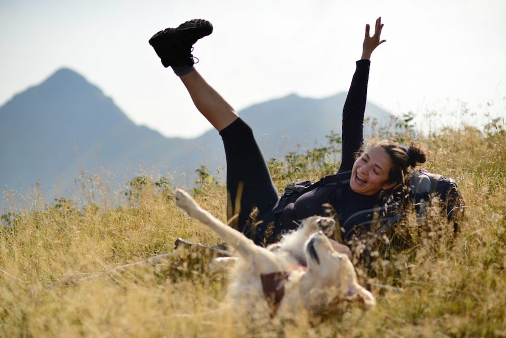 Even though nothing is likely to happen on vacation, you should still be prepared for everything and have gathered important information in advance, such as the nearest veterinarian, etc.