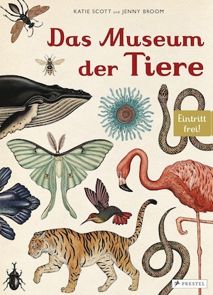 Das Museum der Tiere: Eintritt frei! 