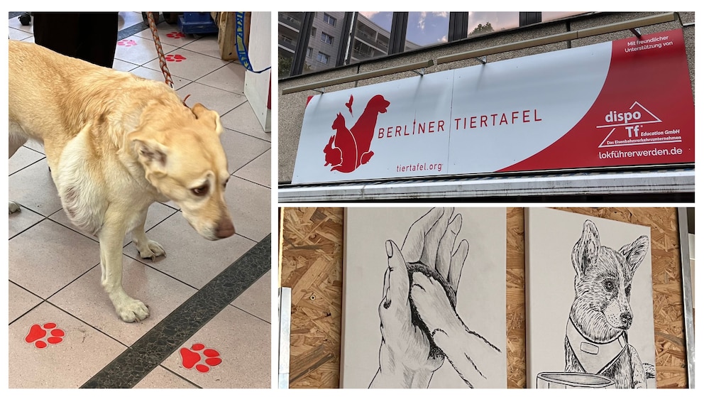 Eine Collage zeigt Impressionen eines Besuches der Berliner Tiertafel