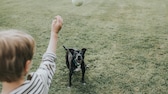 Ein Kind spielt mit einem alten Hund Ball