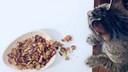 Katze sitzt vor Napf mit selbst gemachten Leckerli.