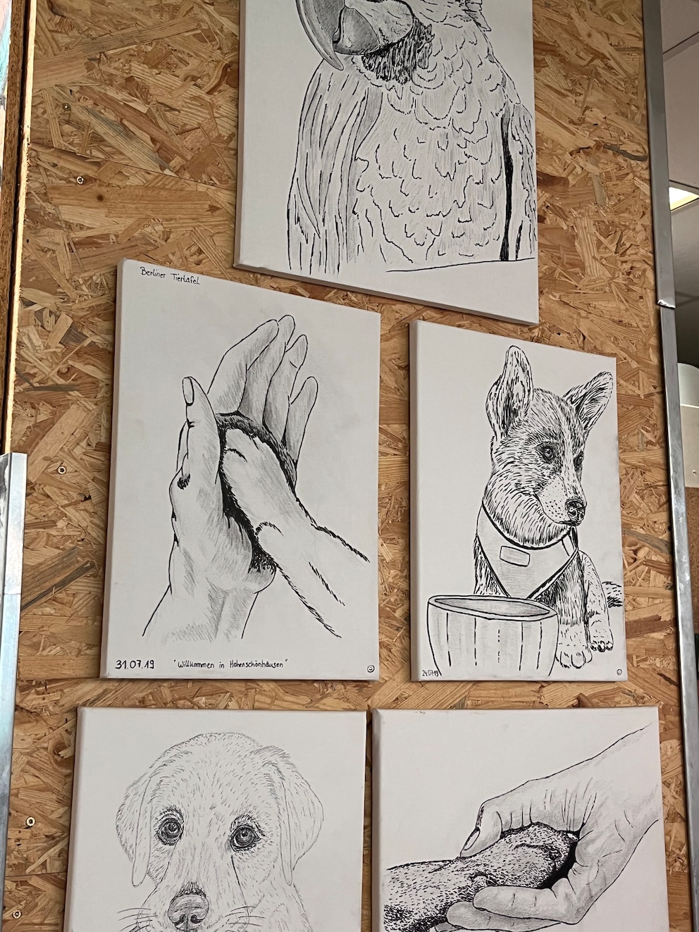Bilder von Menschen und Hunden im Ausgaberaum der Berliner Tiertafel