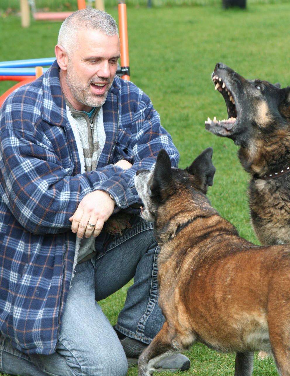 Thomas Baumann bei seiner Arbeit als Hundetrainer