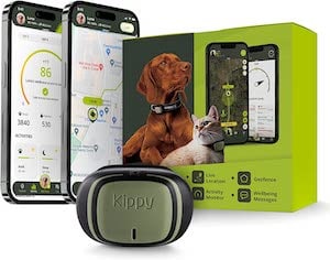 Katzen GPS Tracker