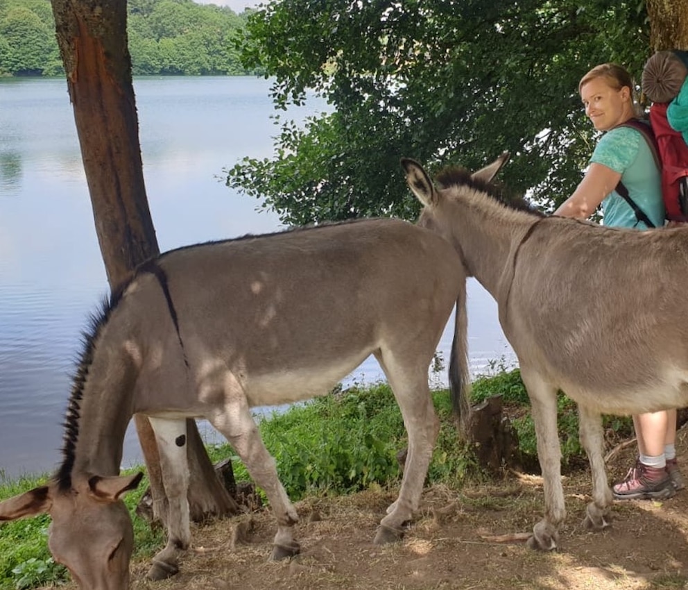 PETBOOK-Redakteurin Louisa Stoeffler streichelt einen Esel