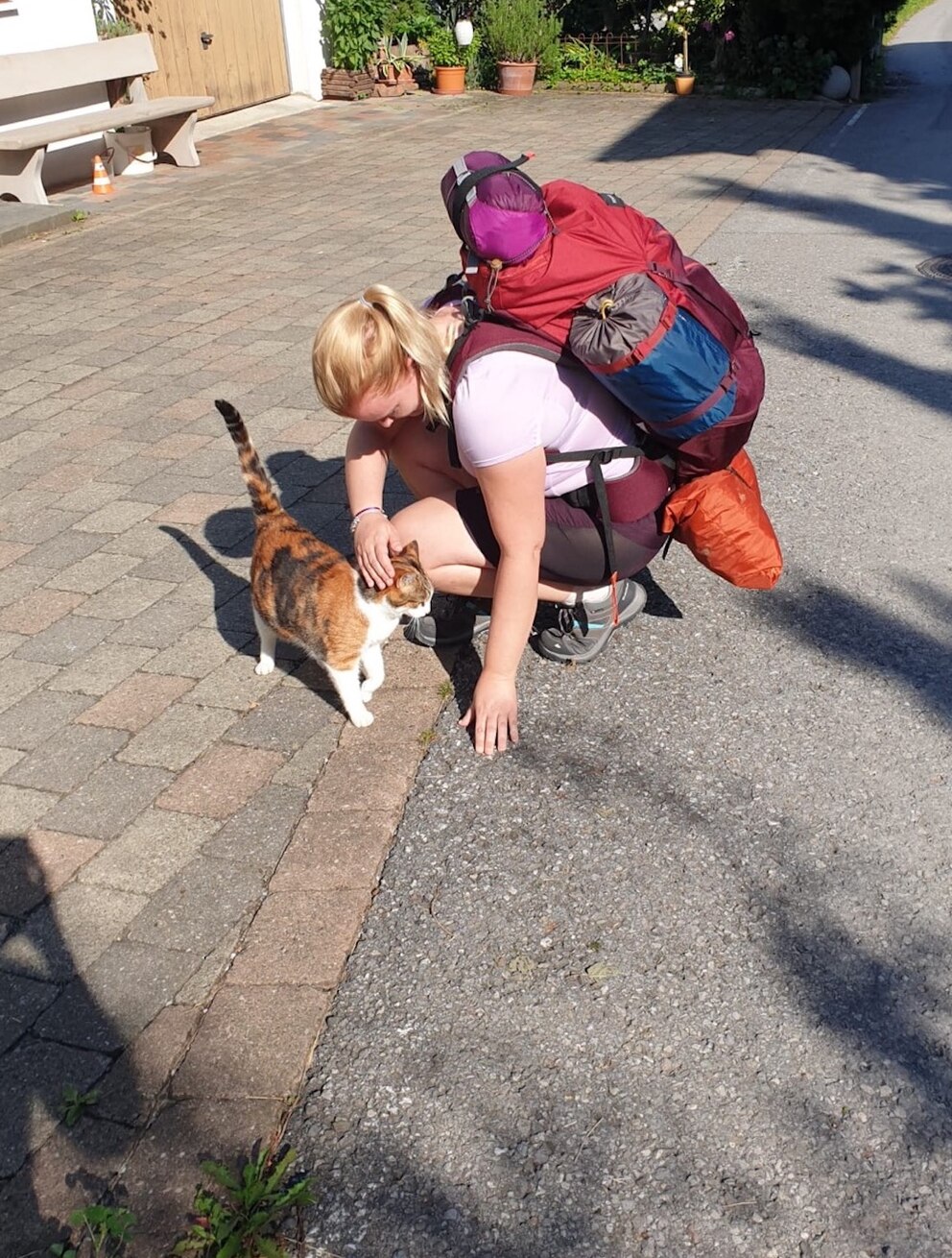 PETBOOK-Redakteurin Louisa Stoeffler streichelt eine Katze