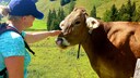 PETBOOK-Redakteurin Louisa Stoeffler streichelt im Allgäu eine Kuh