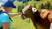 PETBOOK-Redakteurin Louisa Stoeffler streichelt im Allgäu eine Kuh