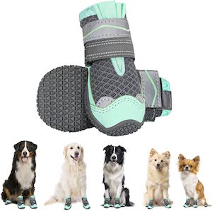 Eyein Hundeschuhe Pfotenschutz