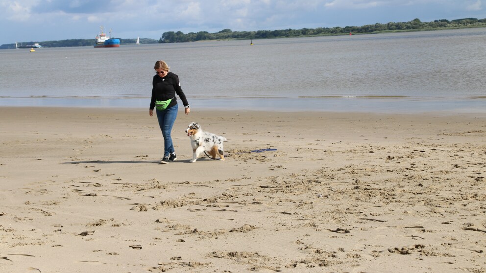 Manuela Lieflaender mit Junghund Elvis am Elbstrand Bassenfleth