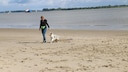 Manuela Lieflaender mit Junghund Elvis am Elbstrand Bassenfleth