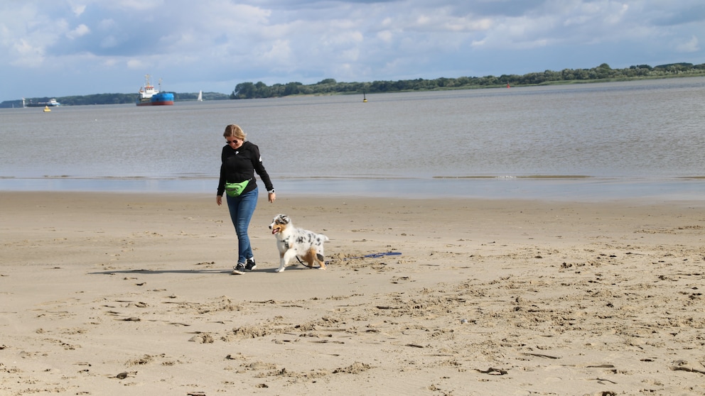 Manuela Lieflaender mit Junghund Elvis am Elbstrand Bassenfleth