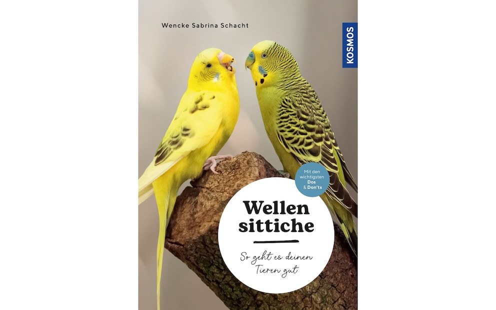 Buch von Wencke Sabrina Schacht