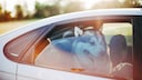 Den Hund bei Hitze im Auto zu lassen, wird schnell zur lebensbedrohlichen Gefahr