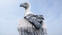 Ein G&auml;nsegeier schaut in die Gegend