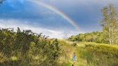 Ein Kind und ein Hund laufen über eine grüne Wiese, während sich am Himmel ein Regenbogen zeigt
