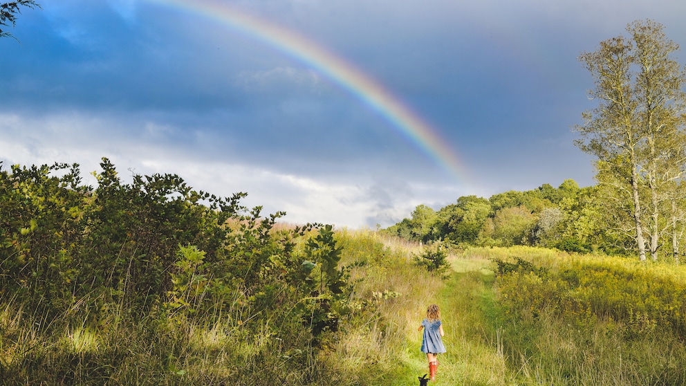 Ein Kind und ein Hund laufen über eine grüne Wiese, während sich am Himmel ein Regenbogen zeigt