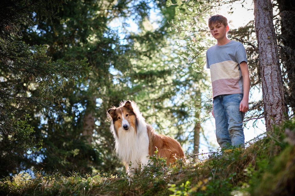 Ausschnitt aus dem Film Lassie – das neue Abenteuer