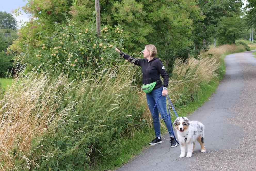 Manuela Lieflaender mit Junghund Elvis beim Wandern durchs Alte Land