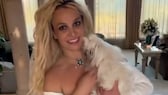 Popstar Britney Spears ist ein wahrer Hundenarr. Seit ihrer Jugend hatte sie immer Hunde.