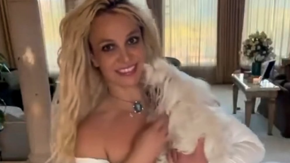 Popstar Britney Spears ist ein wahrer Hundenarr. Seit ihrer Jugend hatte sie immer Hunde.