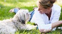 Eine Frau spricht mit ihrem Hund