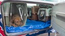 Hunde in Transportboxen im Ladebereich des Flugzeugs