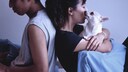 In einer Beziehung kann das Haustier zur Zerreißprobe werden. Wie damit umgehen, wenn der Partner eifersüchtig auf den Hund ist?